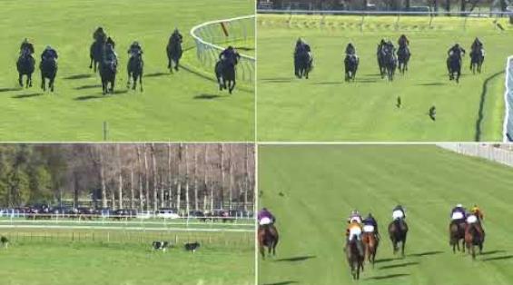 View video › View video ›