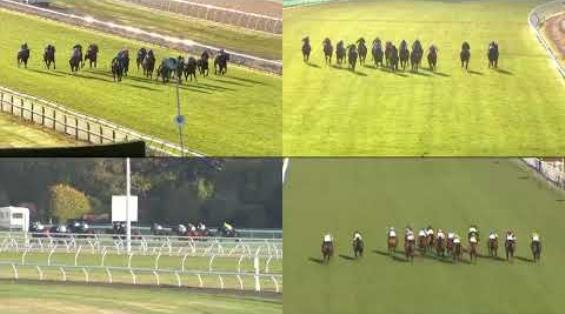 View video › View video ›