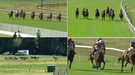 View video › View video ›