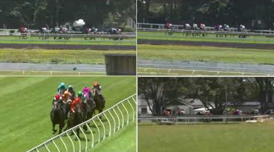 View video › View video ›