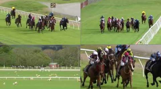 View video › View video ›