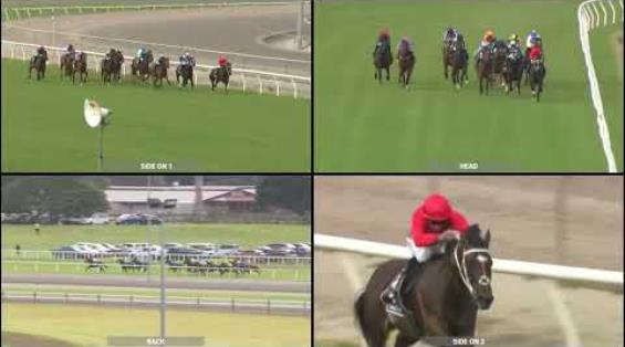 View video › View video ›