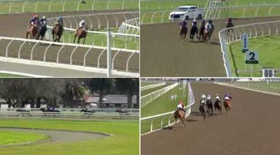 View video › View video ›