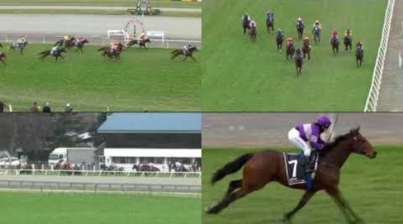 View video › View video ›