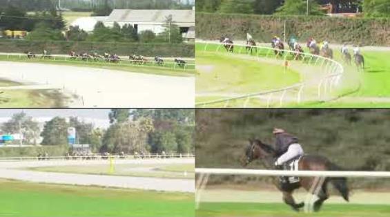 View video › View video ›