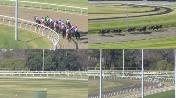 View video › View video ›