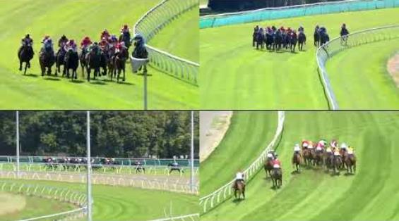 View video › View video ›