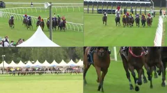 View video › View video ›