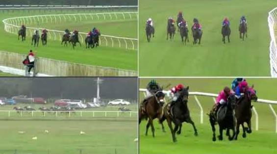 View video › View video ›