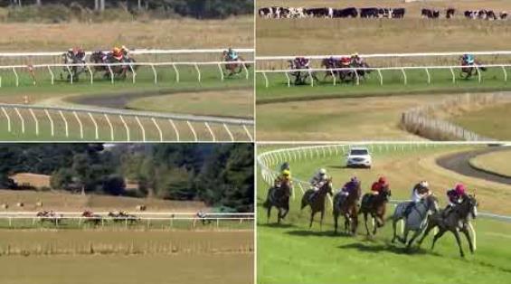 View video › View video ›