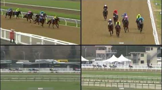 View video › View video ›