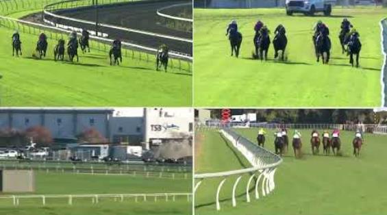 View video › View video ›