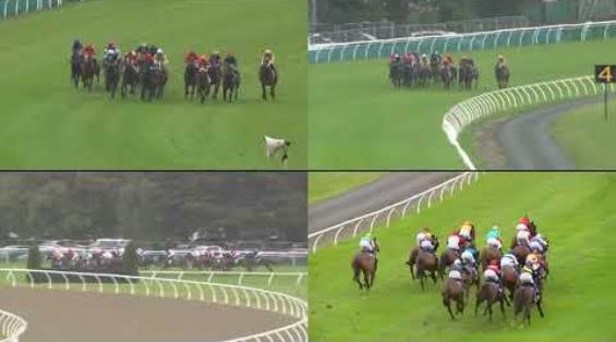 View video › View video ›