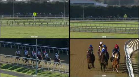 View video › View video ›