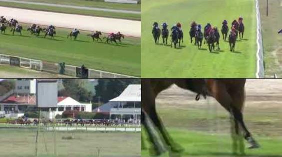 View video › View video ›