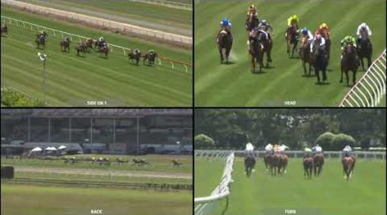 View video › View video ›