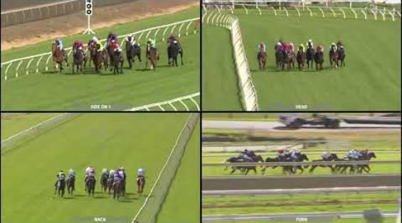 View video › View video ›