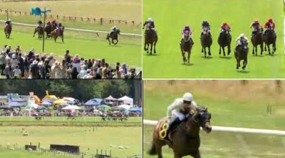 View video › View video ›