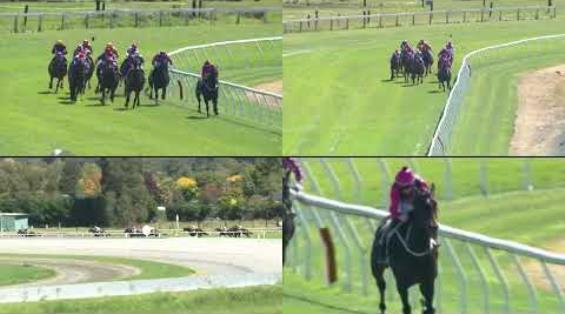 View video › View video ›