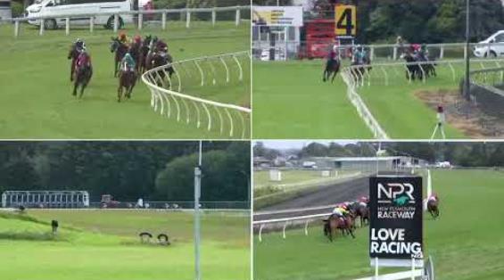 View video › View video ›