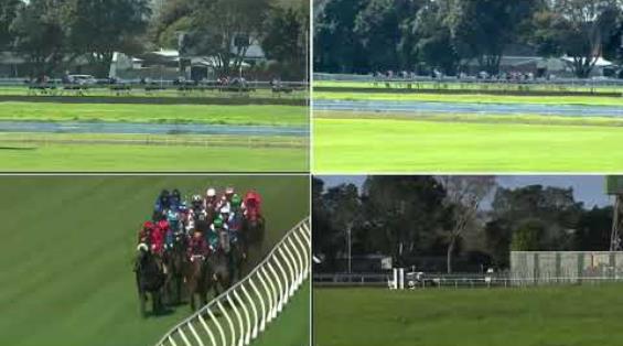 View video › View video ›