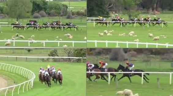 View video › View video ›