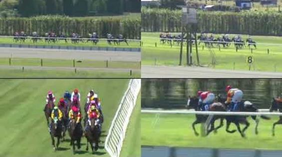 View video › View video ›