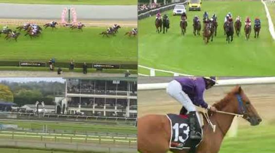 View video › View video ›