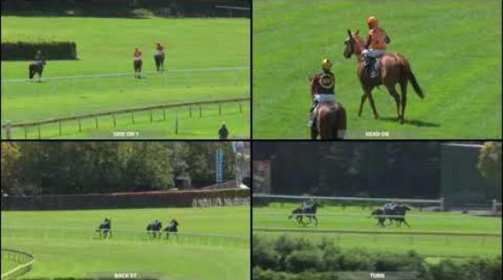 View video › View video ›