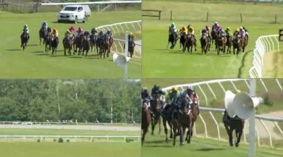 View video › View video ›