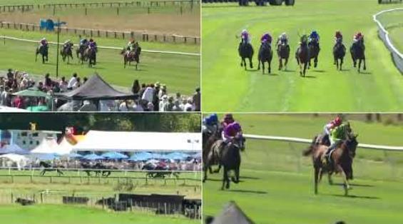 View video › View video ›