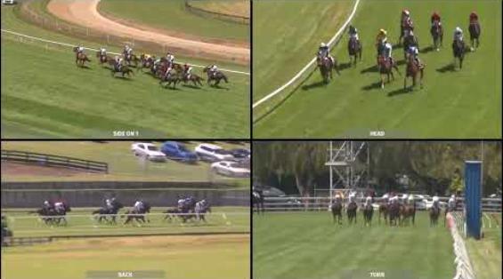 View video › View video ›