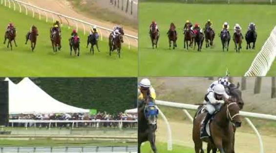 View video › View video ›