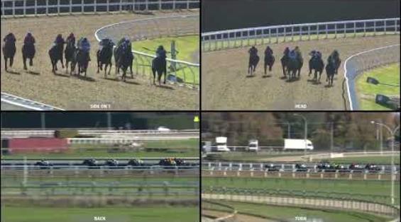 View video › View video ›