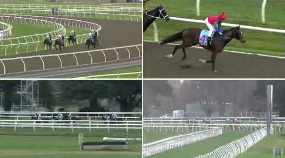 View video › View video ›