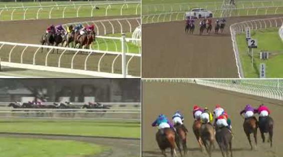 View video › View video ›