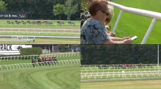 View video › View video ›