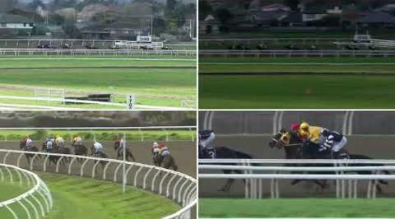 View video › View video ›