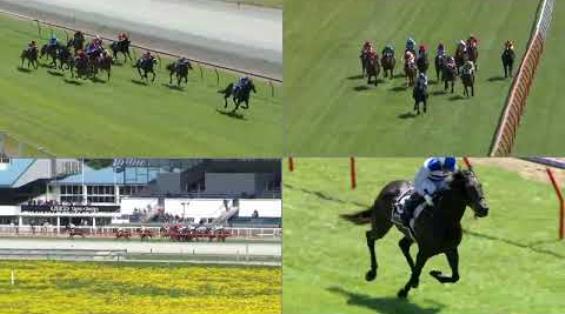 View video › View video ›