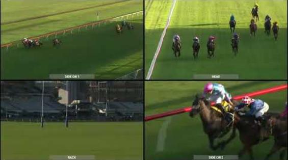 View video › View video ›