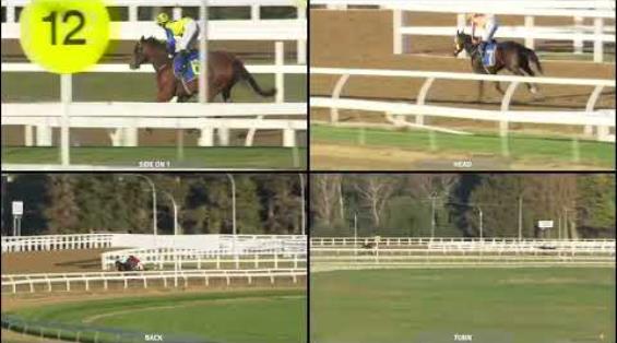 View video › View video ›