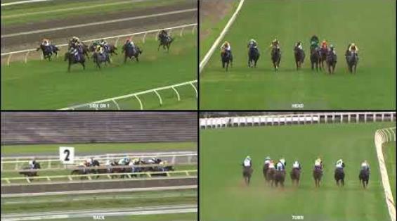 View video › View video ›