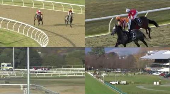 View video › View video ›