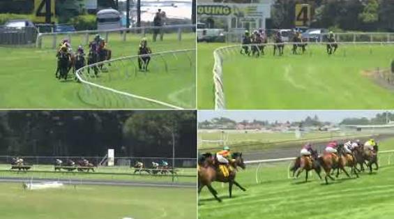 View video › View video ›