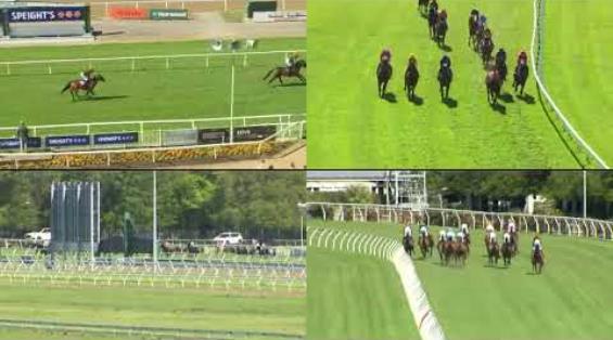 View video › View video ›