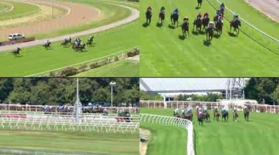 View video › View video ›