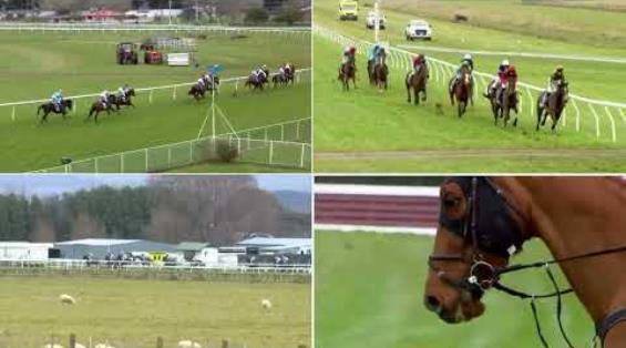 View video › View video ›