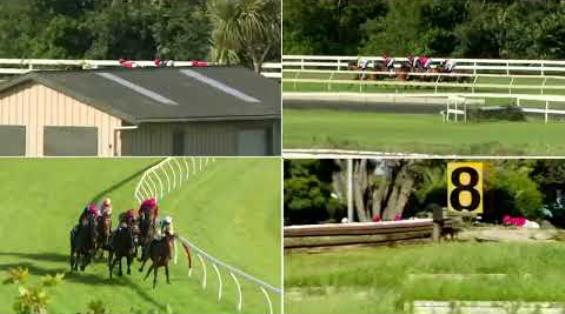 View video › View video ›