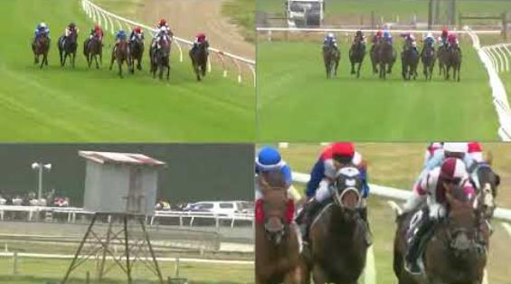 View video › View video ›