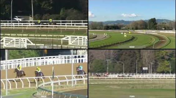 View video › View video ›